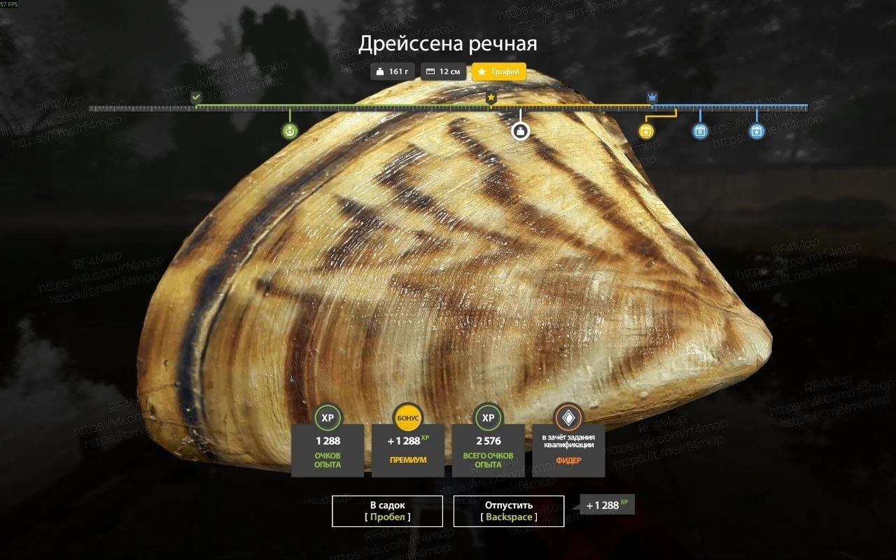 Улов (Дрейссена речная) на трофей в RF4