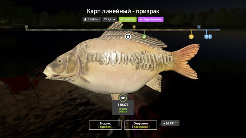 Улов (Карп) на трофей в RF4