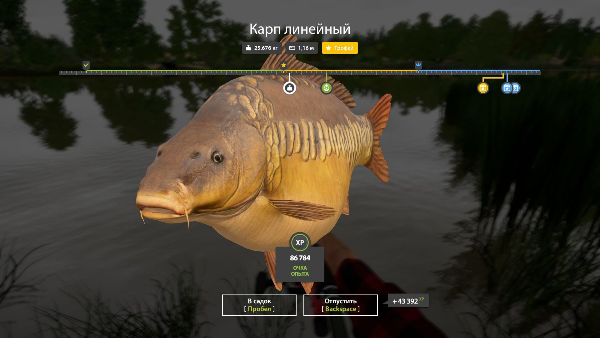 Улов (Карп линейный) на трофей в RF4