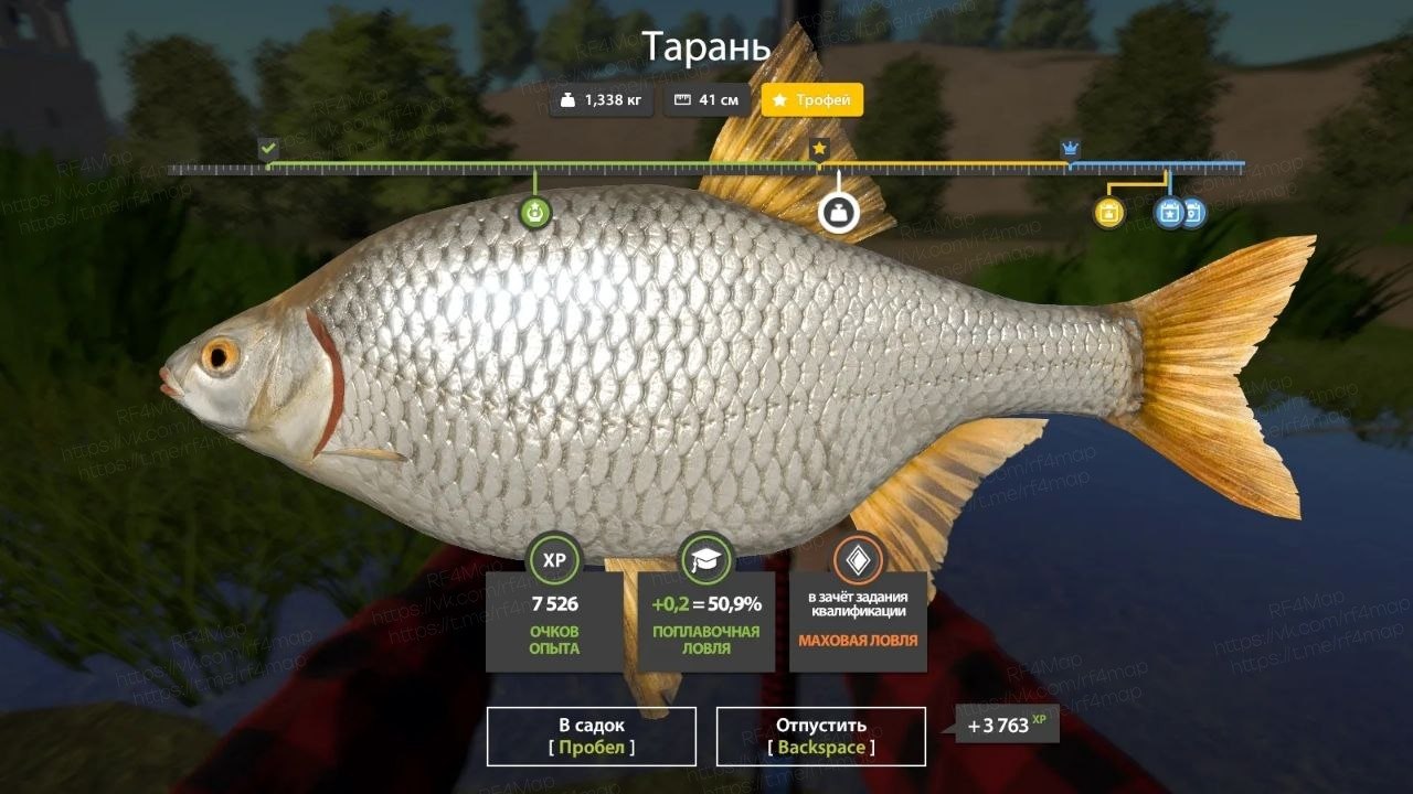 Улов (Тарань) на трофей в RF4