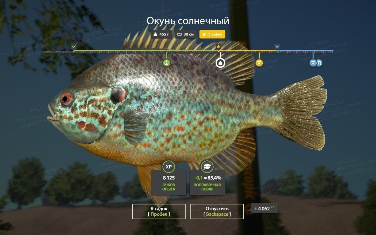 Улов (Окунь солнечный, Тарань) на фарм в RF4