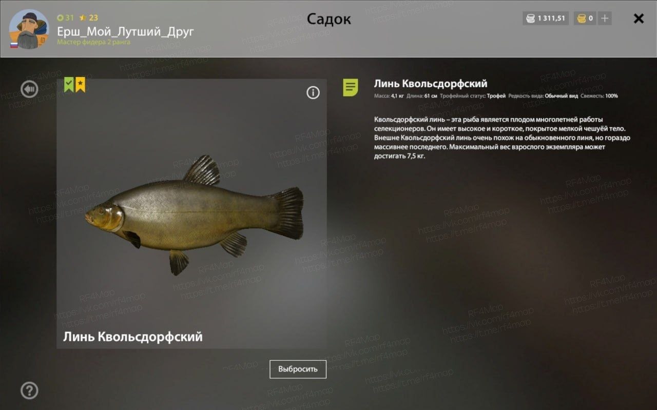Улов (Карась золотой, Линь Квольсдорфский) на трофей в RF4
