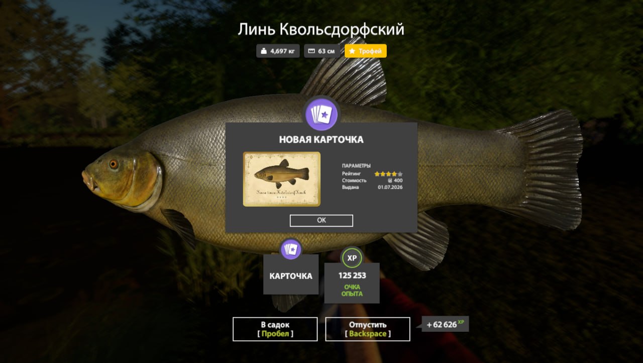 Улов (Линь Квольсдорфский) на трофей в RF4