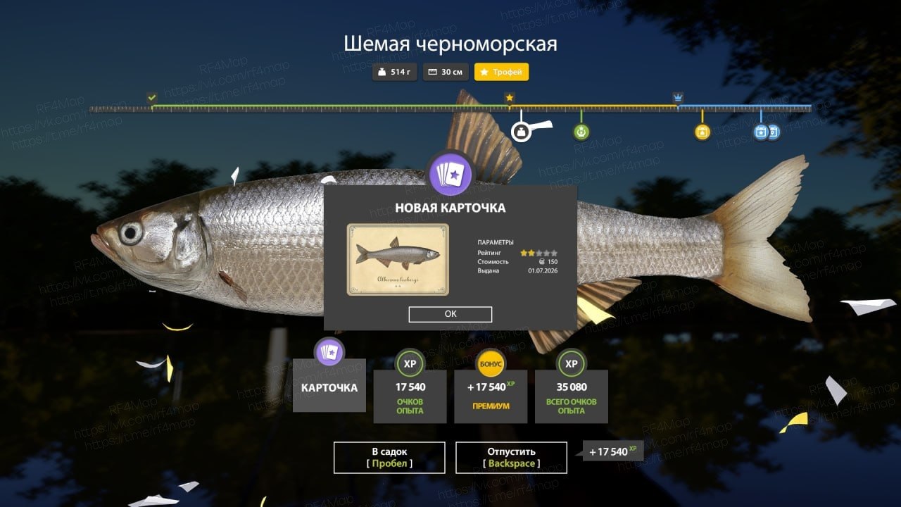 Улов (Шемая черноморская) на трофей в RF4