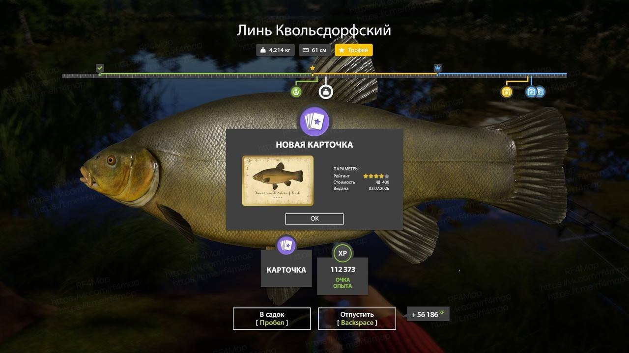 Улов (Линь, Линь Квольсдорфский, Карась серебряный, Карась золотой) на трофей в RF4