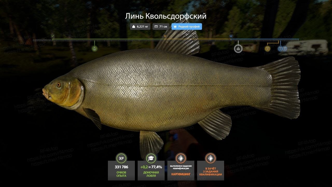 Улов (Линь Квольсдорфский) на трофей в RF4