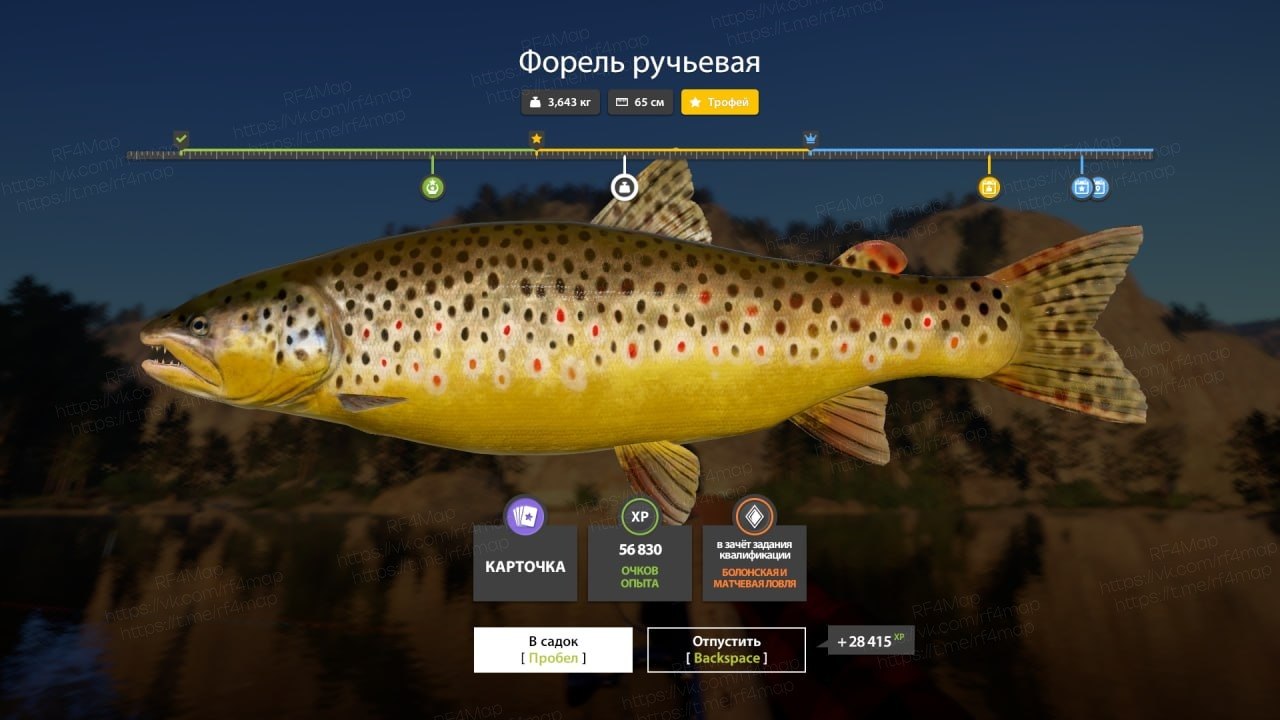 Улов (Форель ручьевая) на трофей в RF4