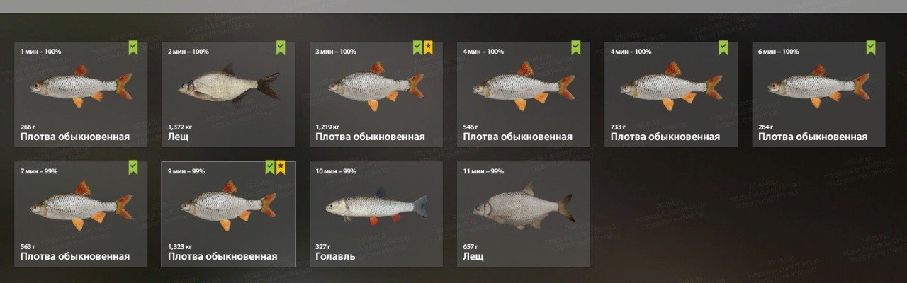 Улов (Плотва обыкновенная) на комариное в RF4