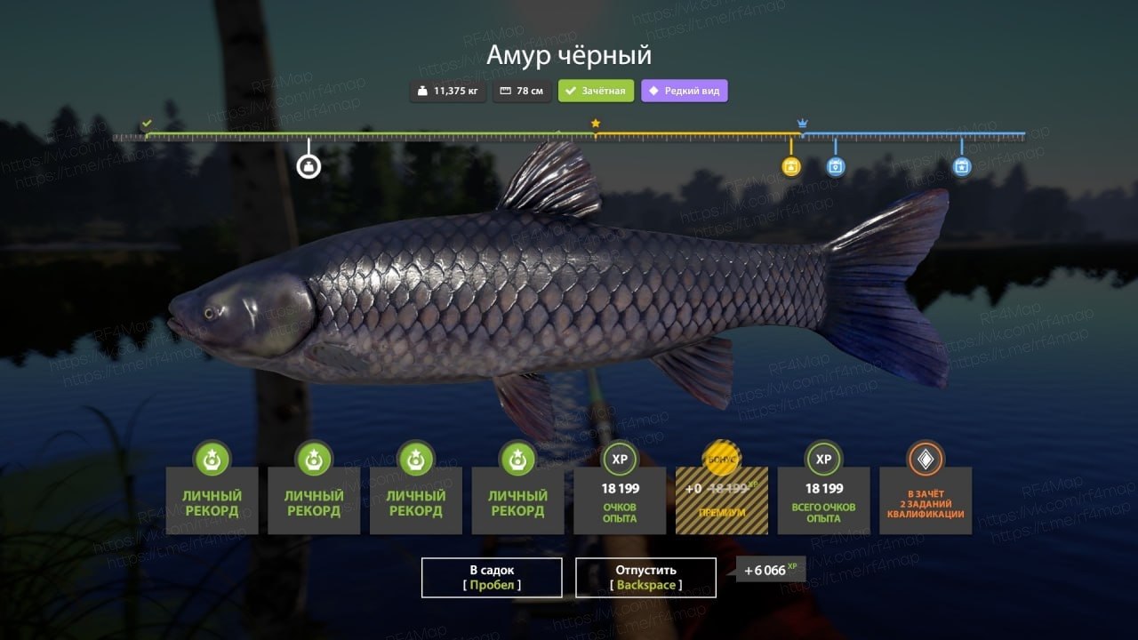 Улов (Амур белый, Амур чёрный, Карп чешуйчатый) на острог в RF4