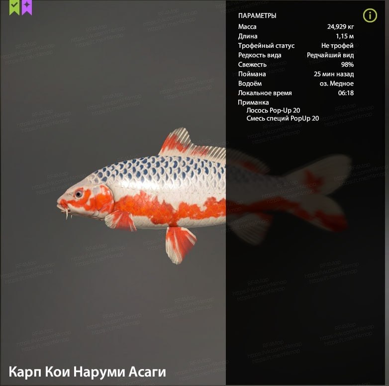 Улов (Карп Кои Наруми Асаги) на медное в RF4