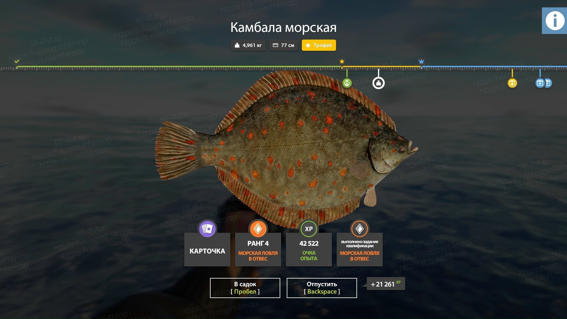 Улов (Камбала морская) на трофей в RF4