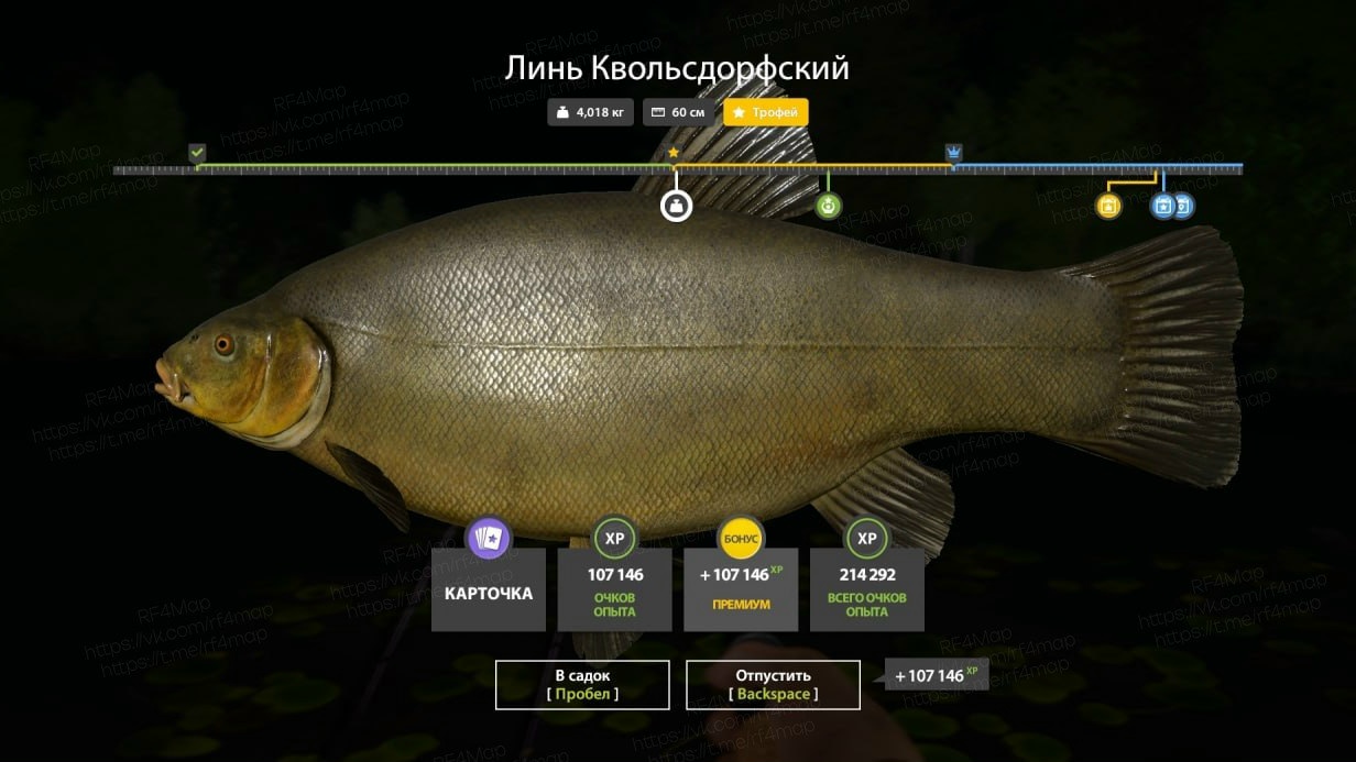 Улов (Линь Квольсдорфский) на трофей в RF4