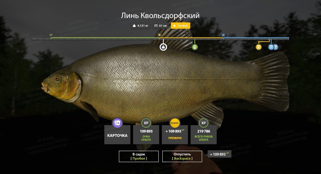 Улов (Линь Квольсдорфский) на трофей в RF4