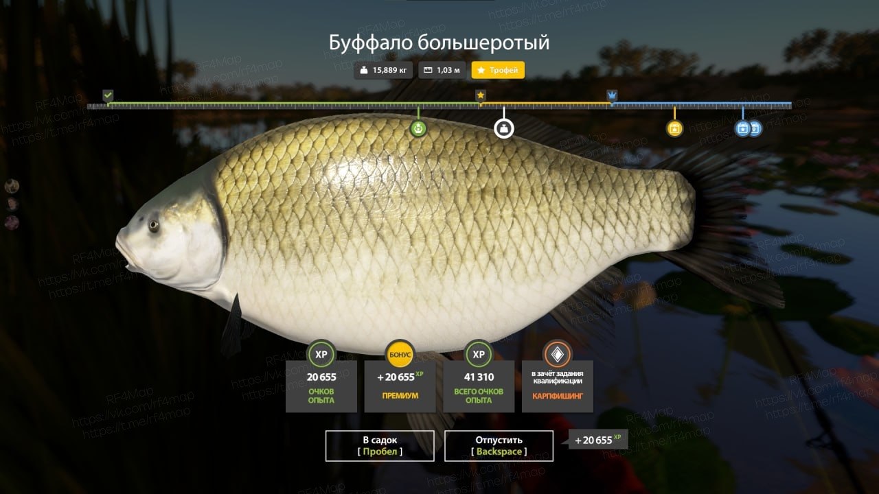 Улов (Буффало большеротый) на фарм в RF4