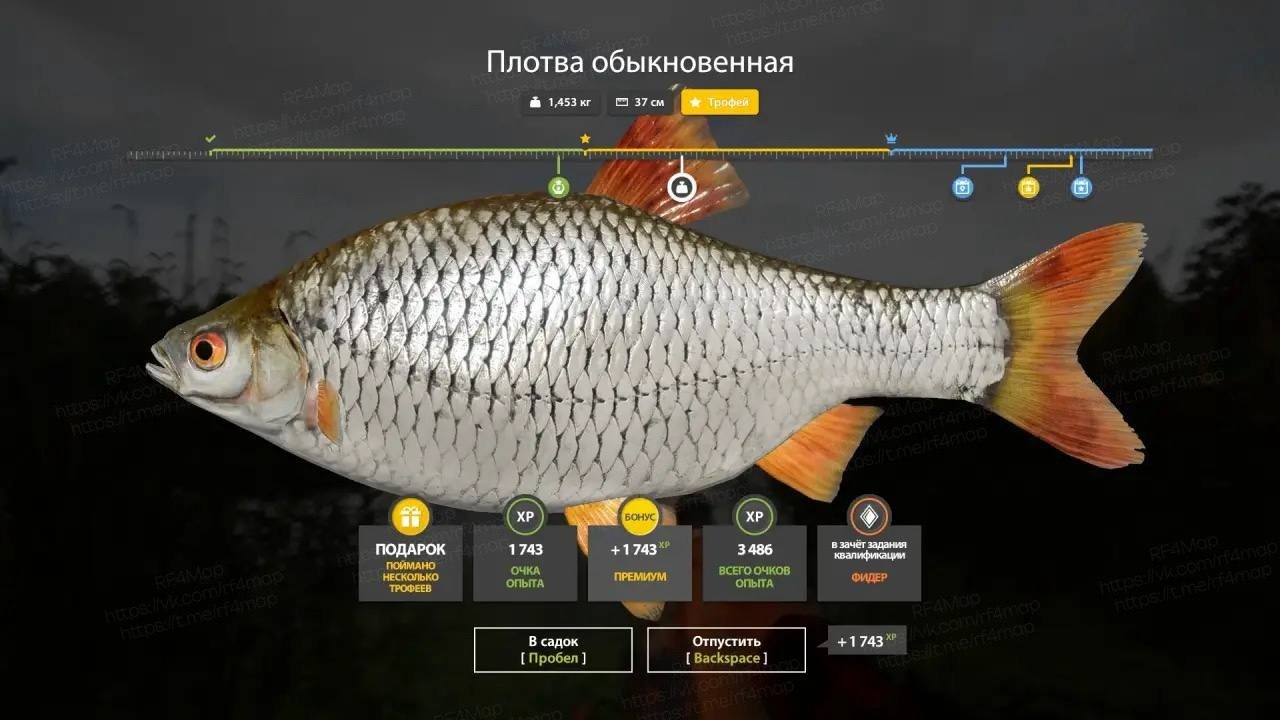 Улов (Лещ, Плотва обыкновенная) на фарм в RF4