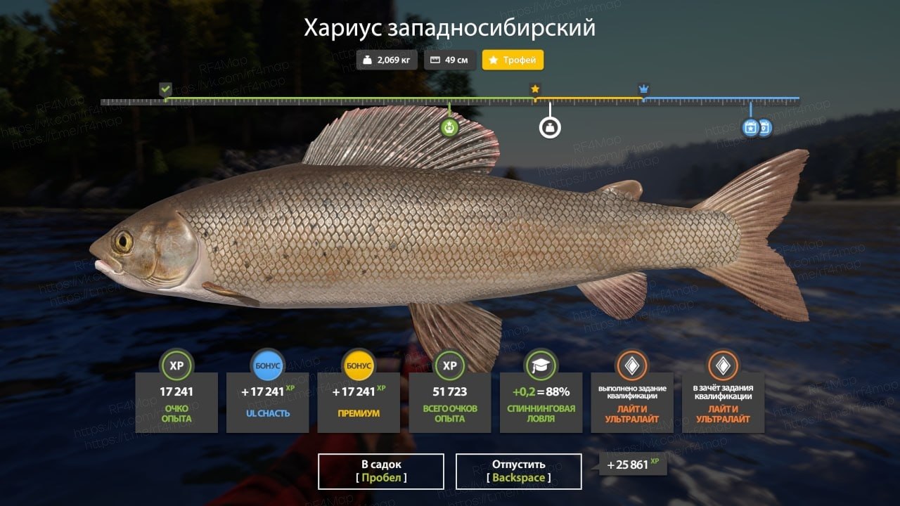 Улов (Хариус западносибирский) на трофей в RF4
