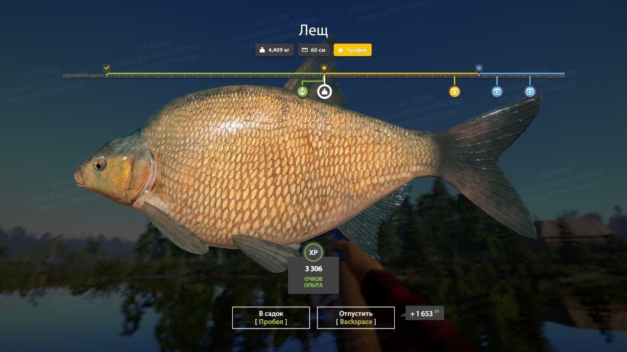 Улов (Лещ) на трофей в RF4