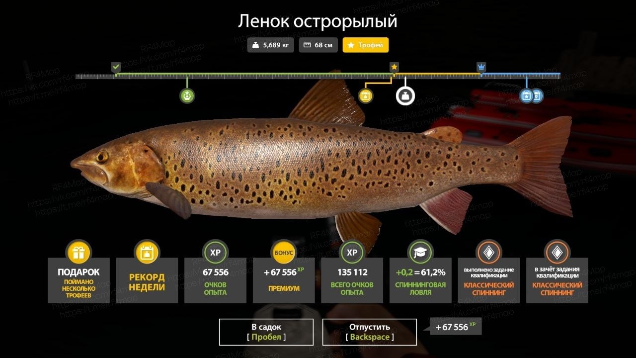 Улов (Ленок острорый) на трофей в RF4