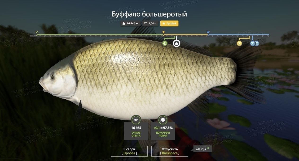 Улов (Буффало большеротый, Буффало чёрный, Амур белый, Карп чешуйчатый) на фарм в RF4