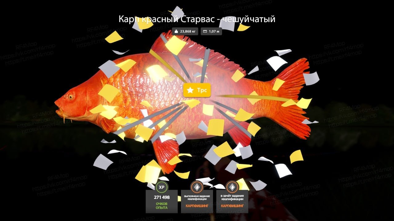 Улов (Карп красный Старвас - чешуйчатый) на трофей в RF4
