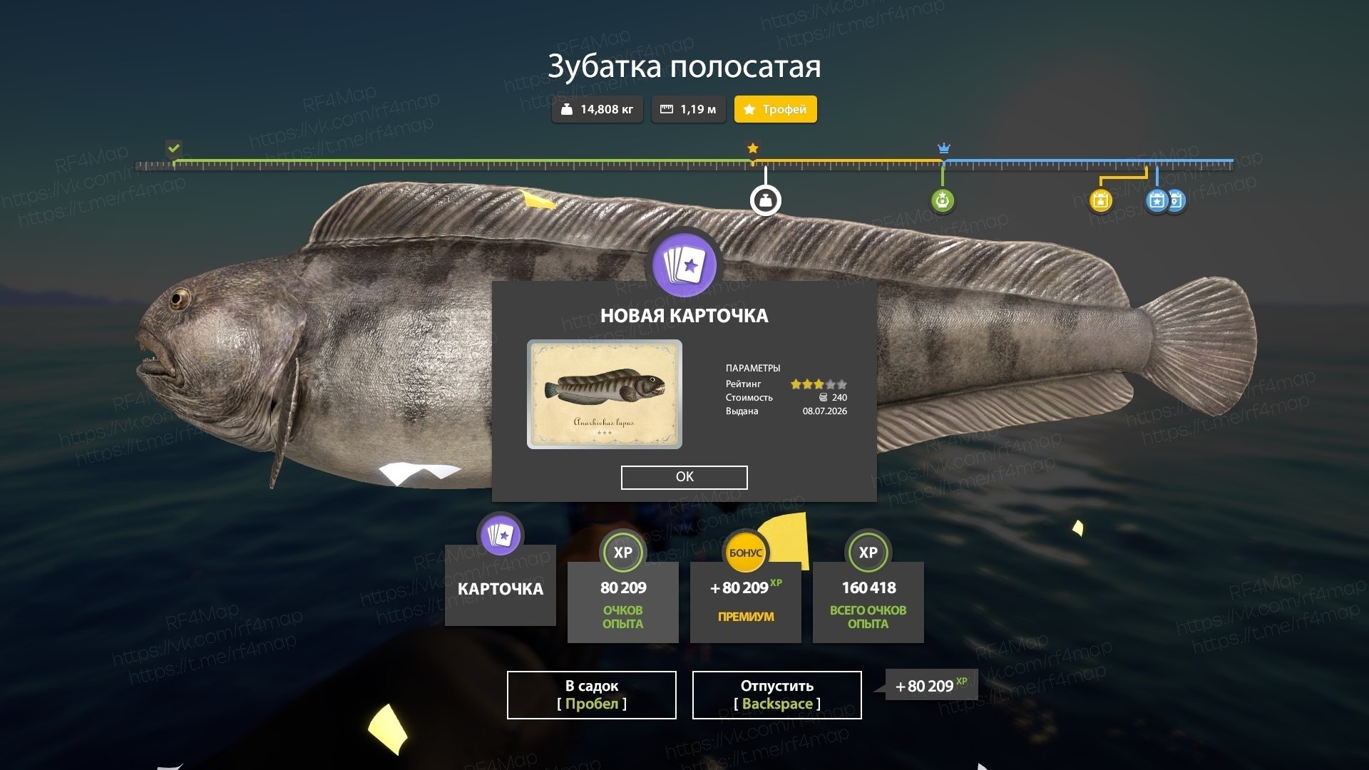 Улов (Зубатка полосатая) на трофей в RF4