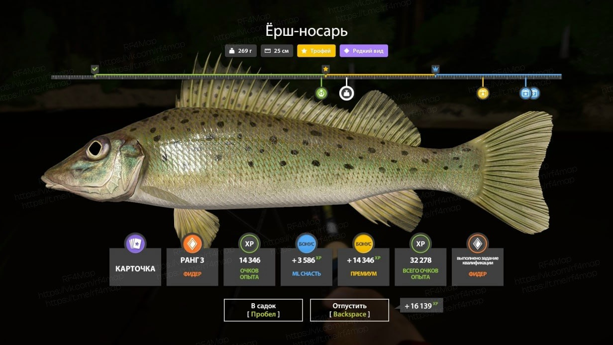 Улов (Ёрш-носарь) на трофей в RF4