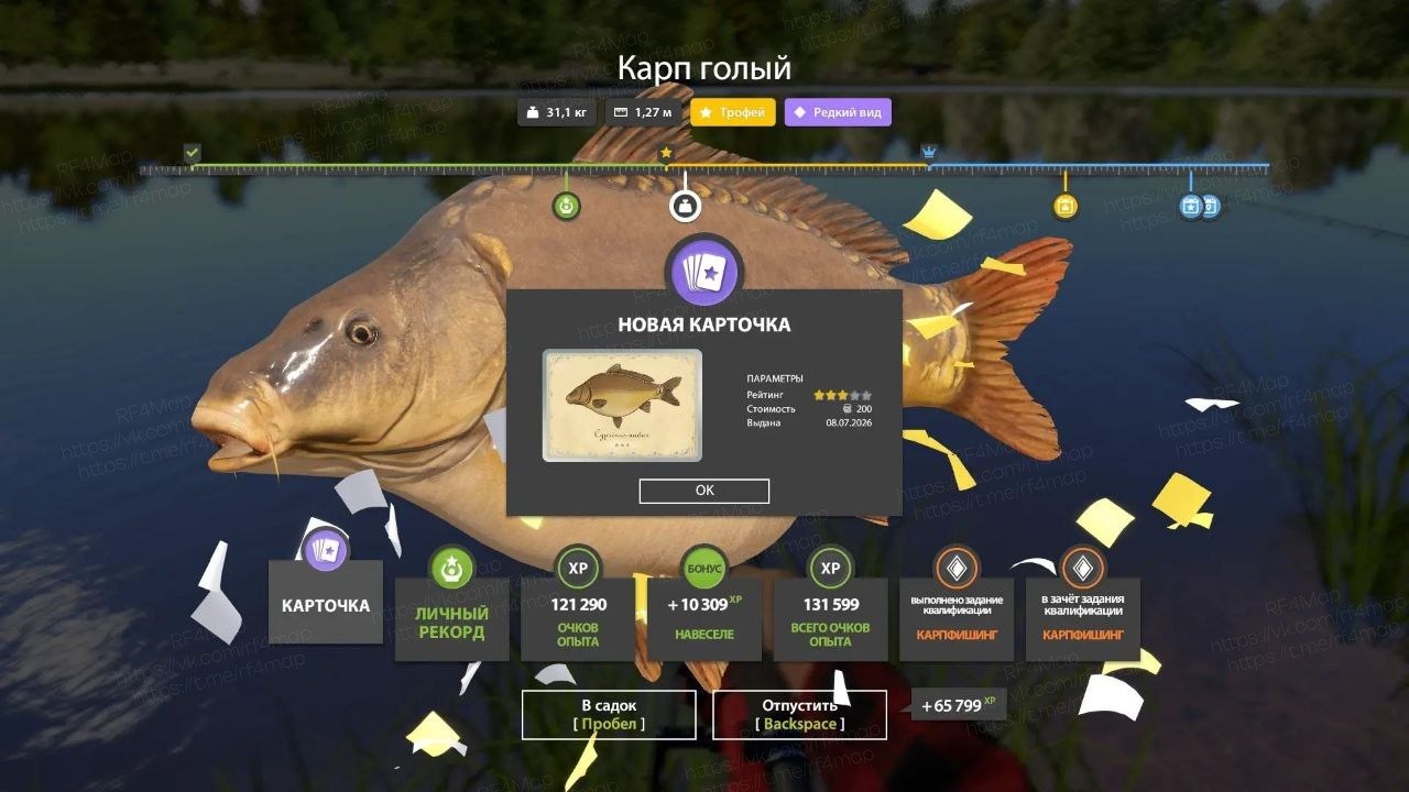 Улов (Карп голый, Карп зеркальный, Карп чешуйчатый) на трофей в RF4