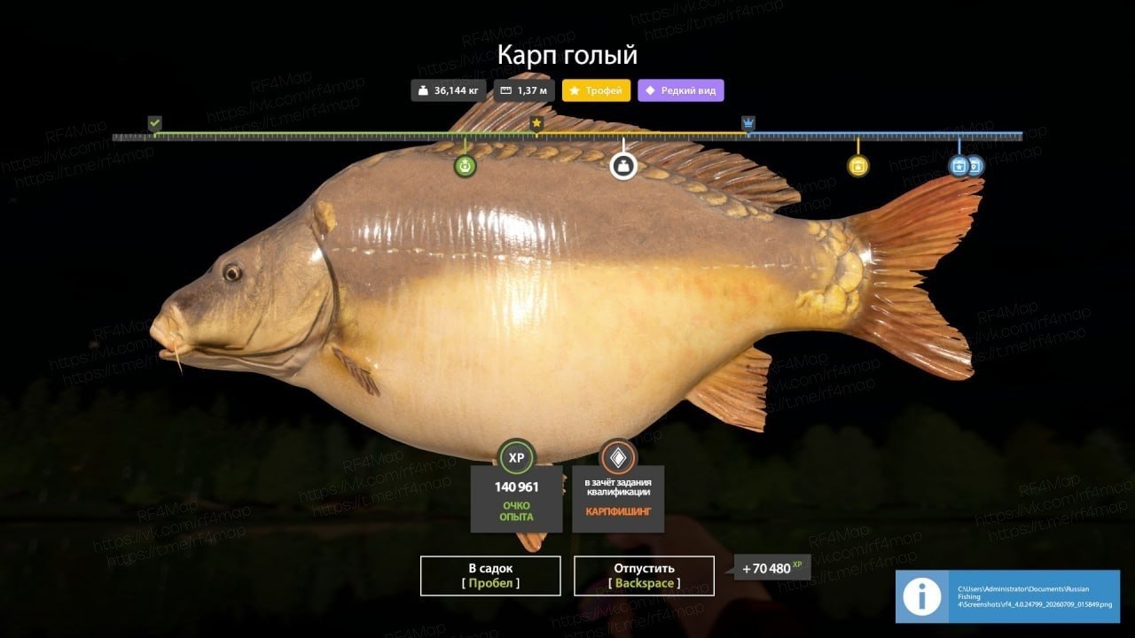 Улов (Карп голый, Карп чешуйчатый) на трофей в RF4