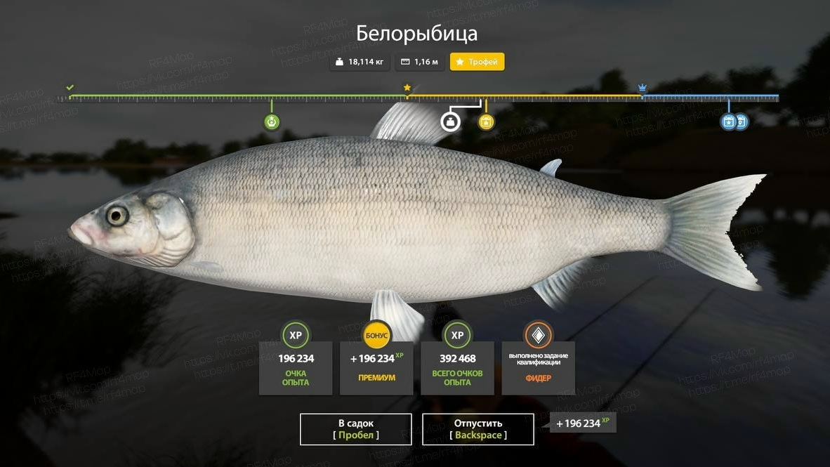 Улов (Белорыбица) на трофей в RF4