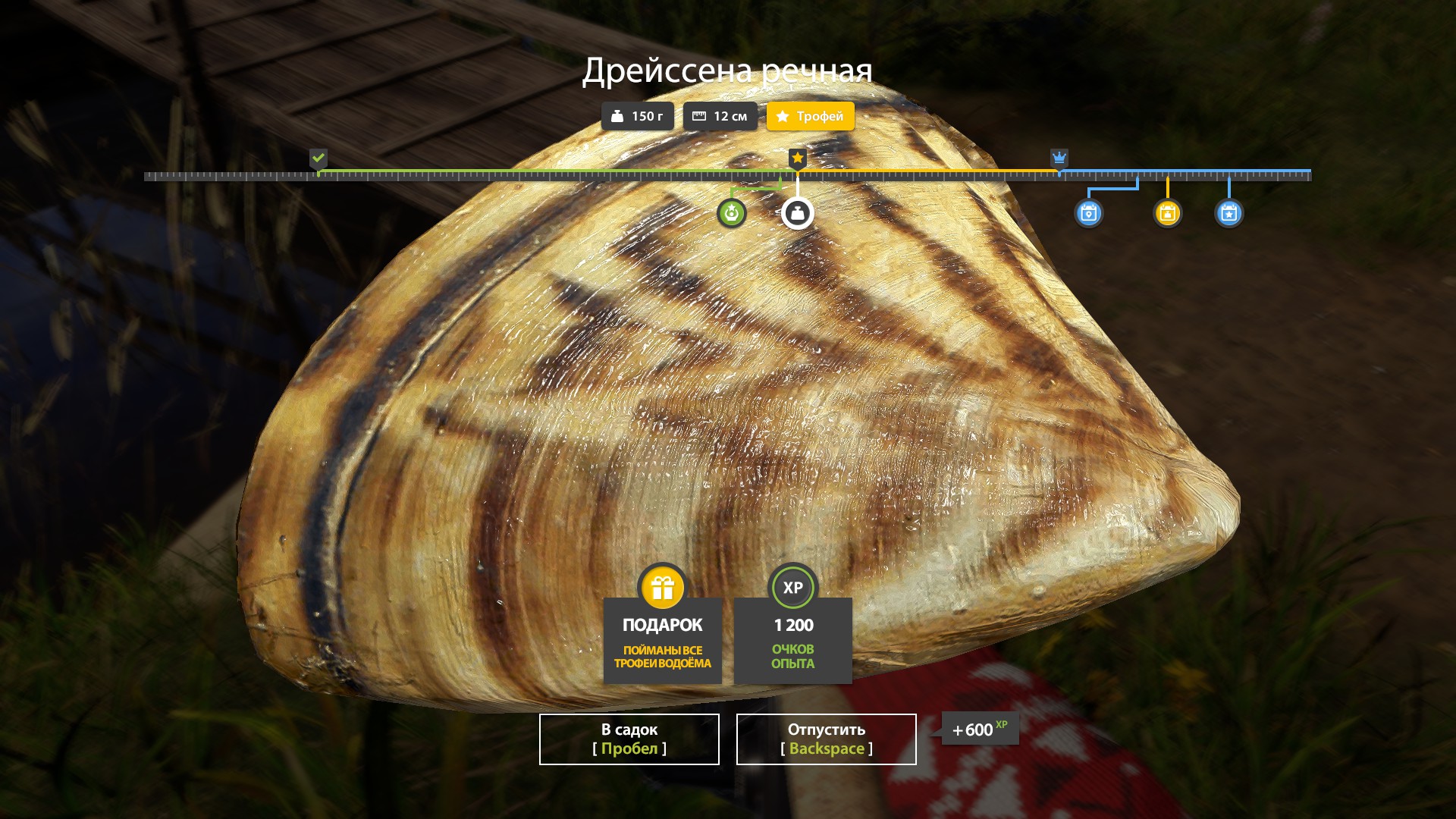 Улов (Дрейссена) на трофей в RF4
