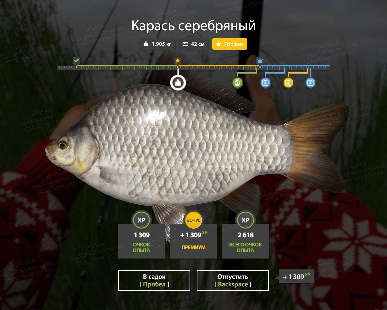 Улов (Карась серебряный) на трофей в RF4