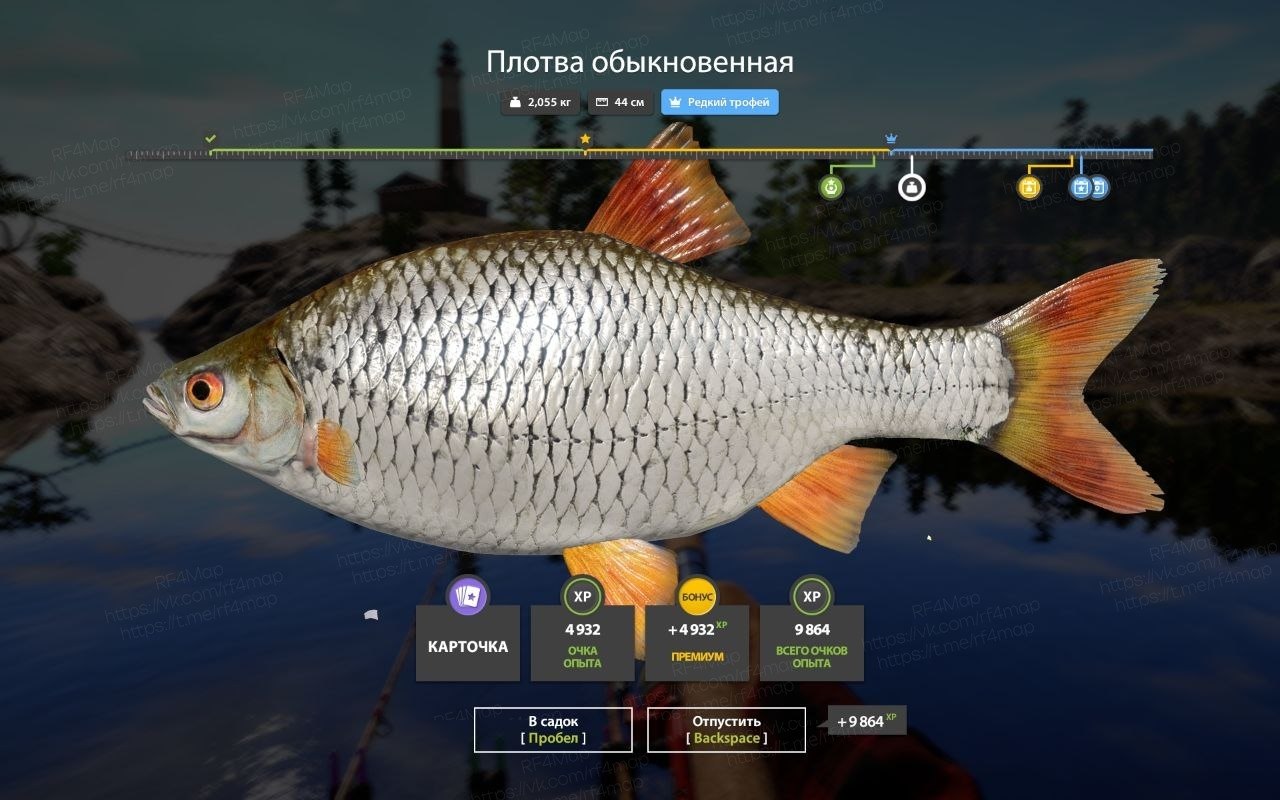 Улов (Плотва обыкновенная) на трофей в RF4