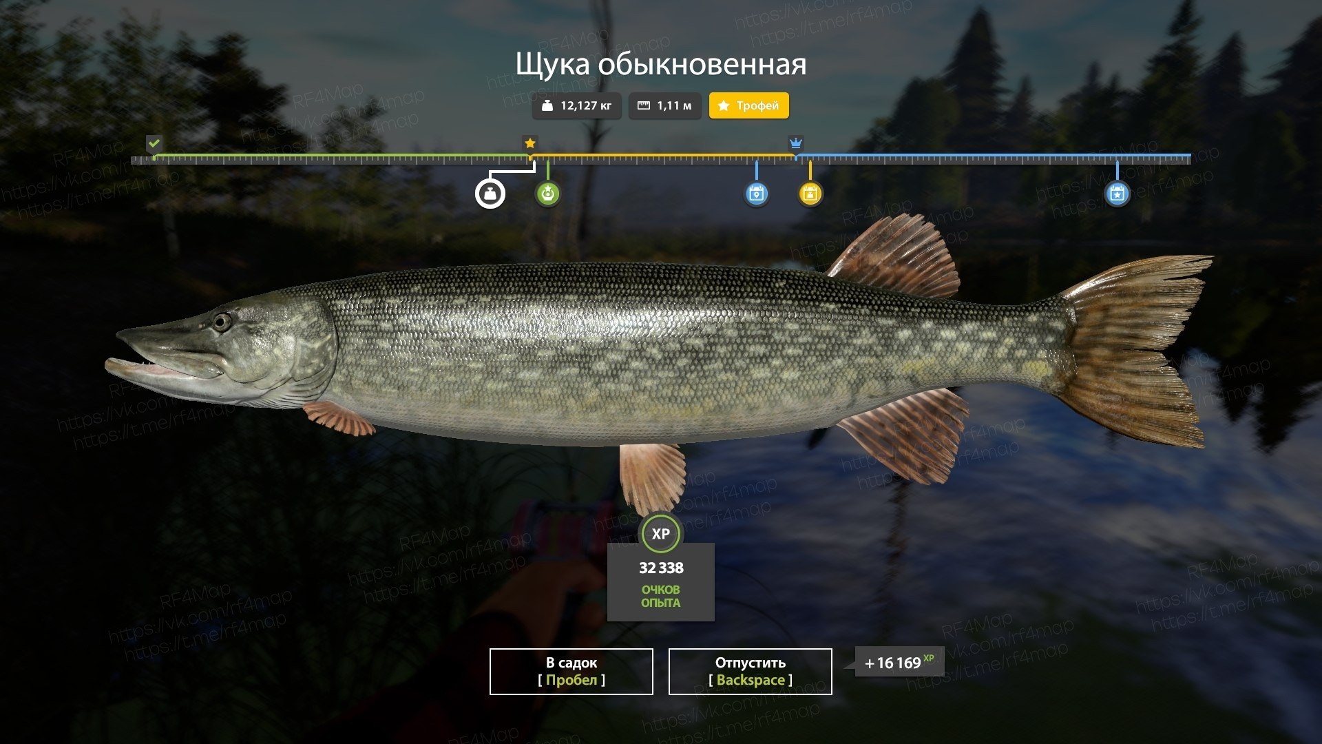 Улов (Щука обыкновенная) на трофей в RF4