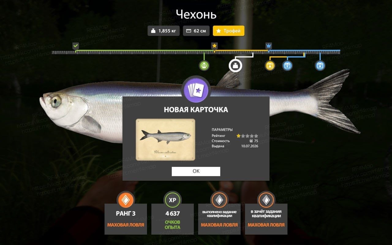 Улов (Чехонь) на трофей в RF4