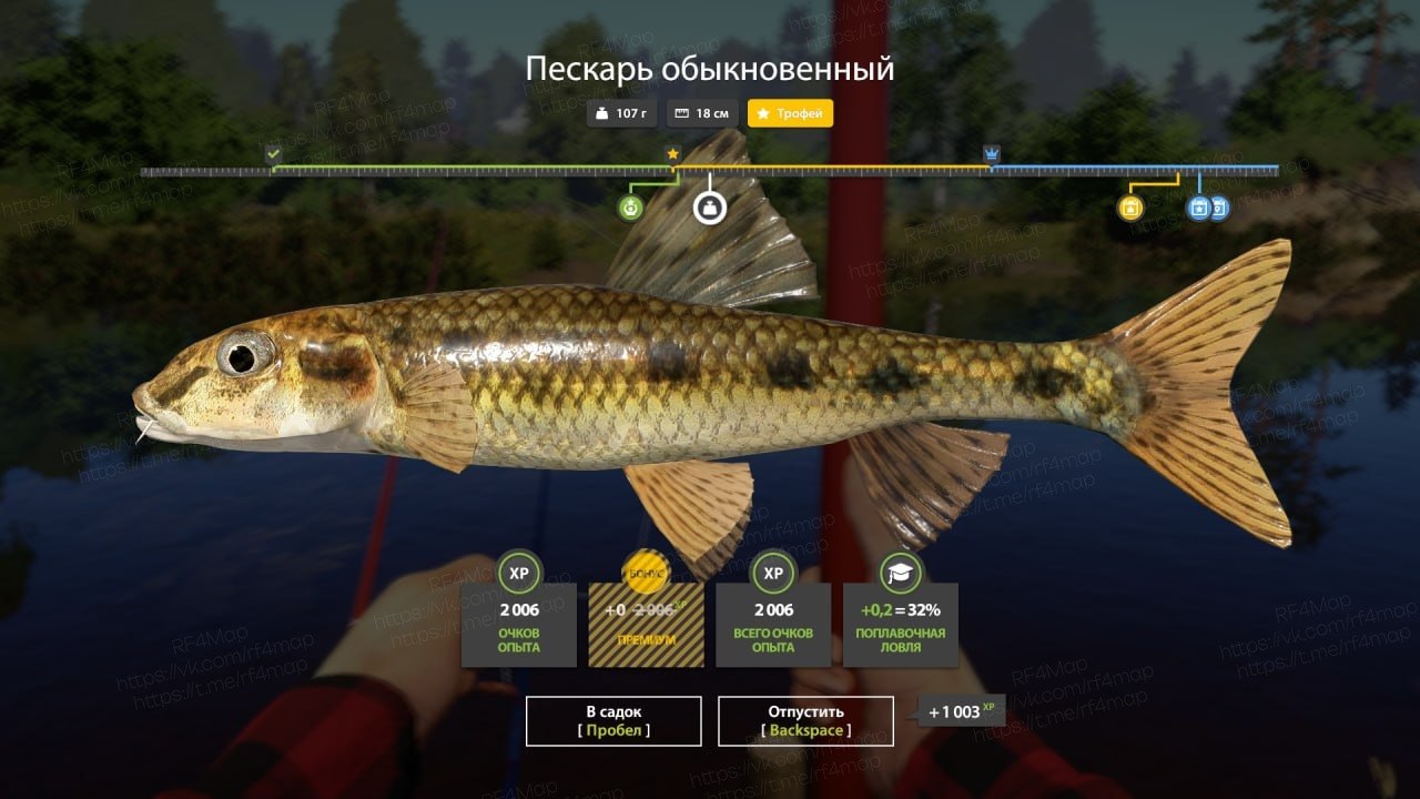 Улов (Пескарь обыкновенный) на трофей в RF4