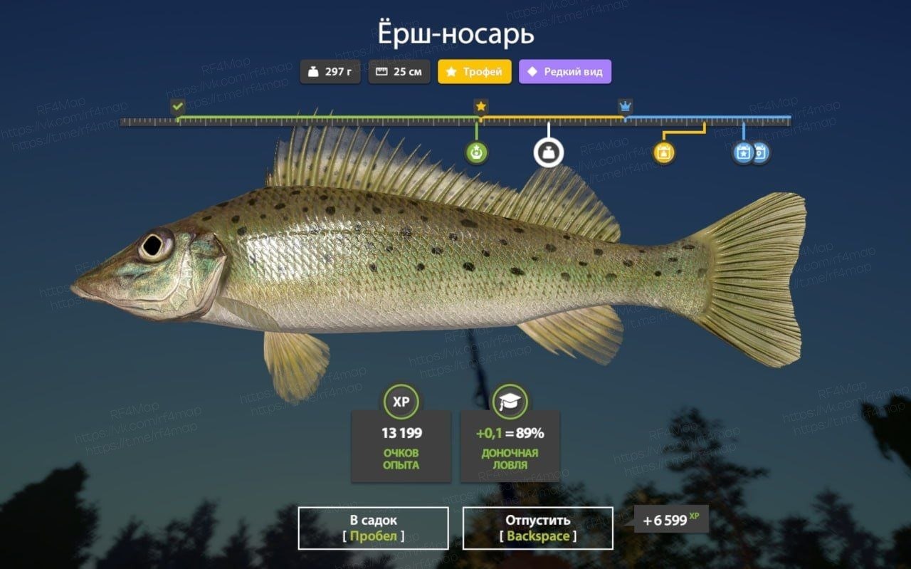 Фото точки