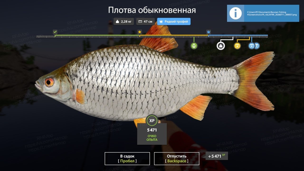 Улов (Плотва обыкновенная) на трофей в RF4