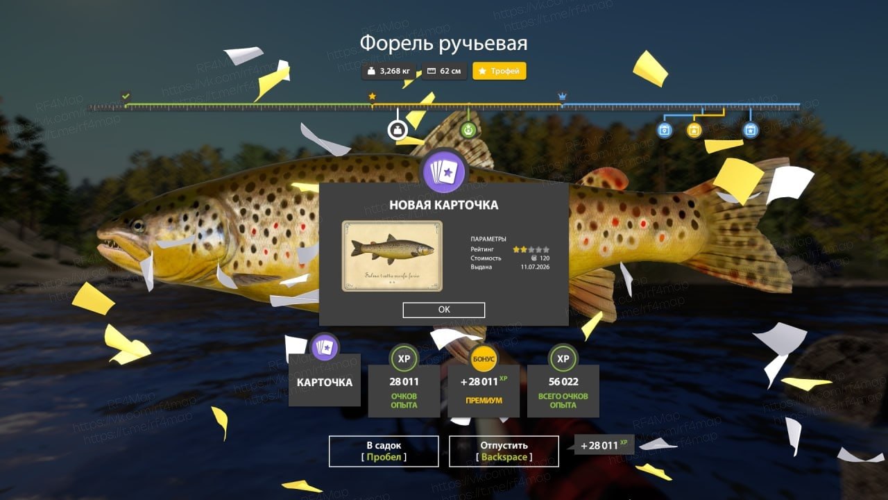 Фото точки