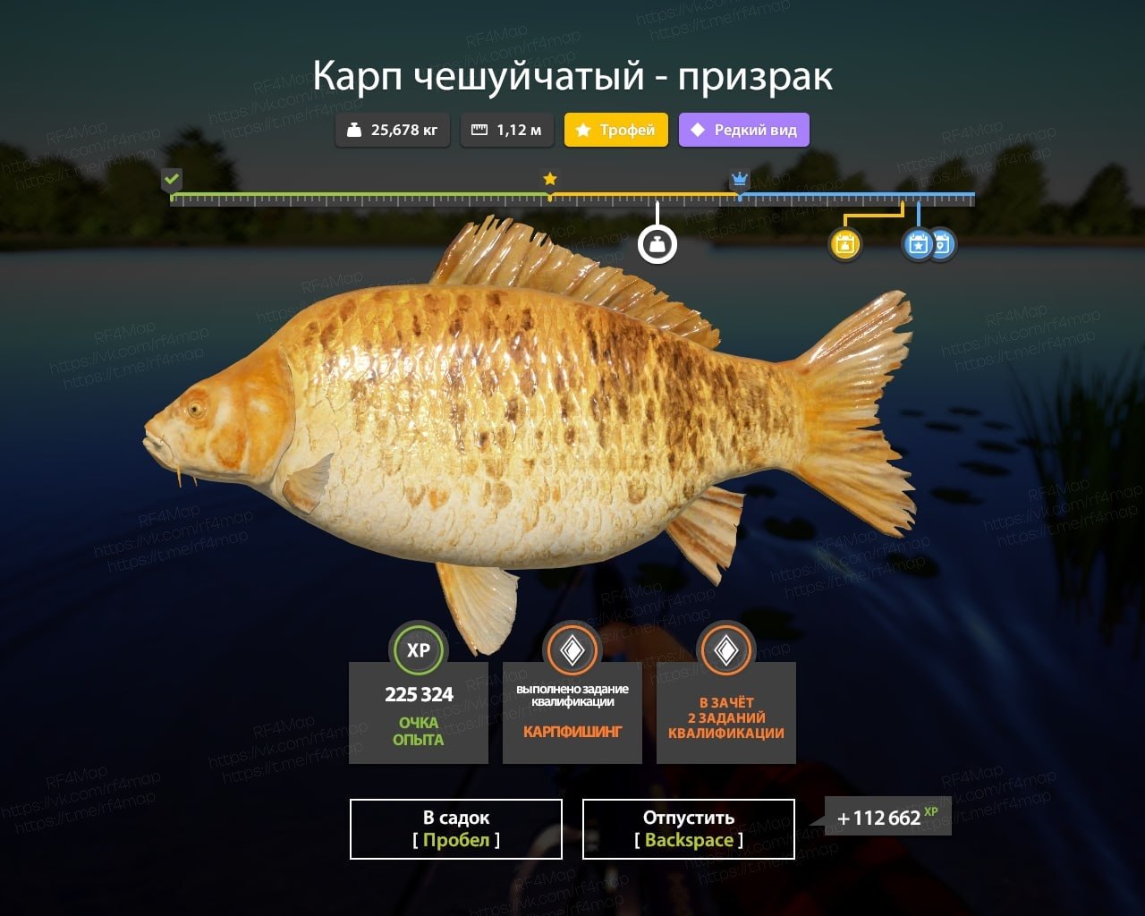 Фото точки