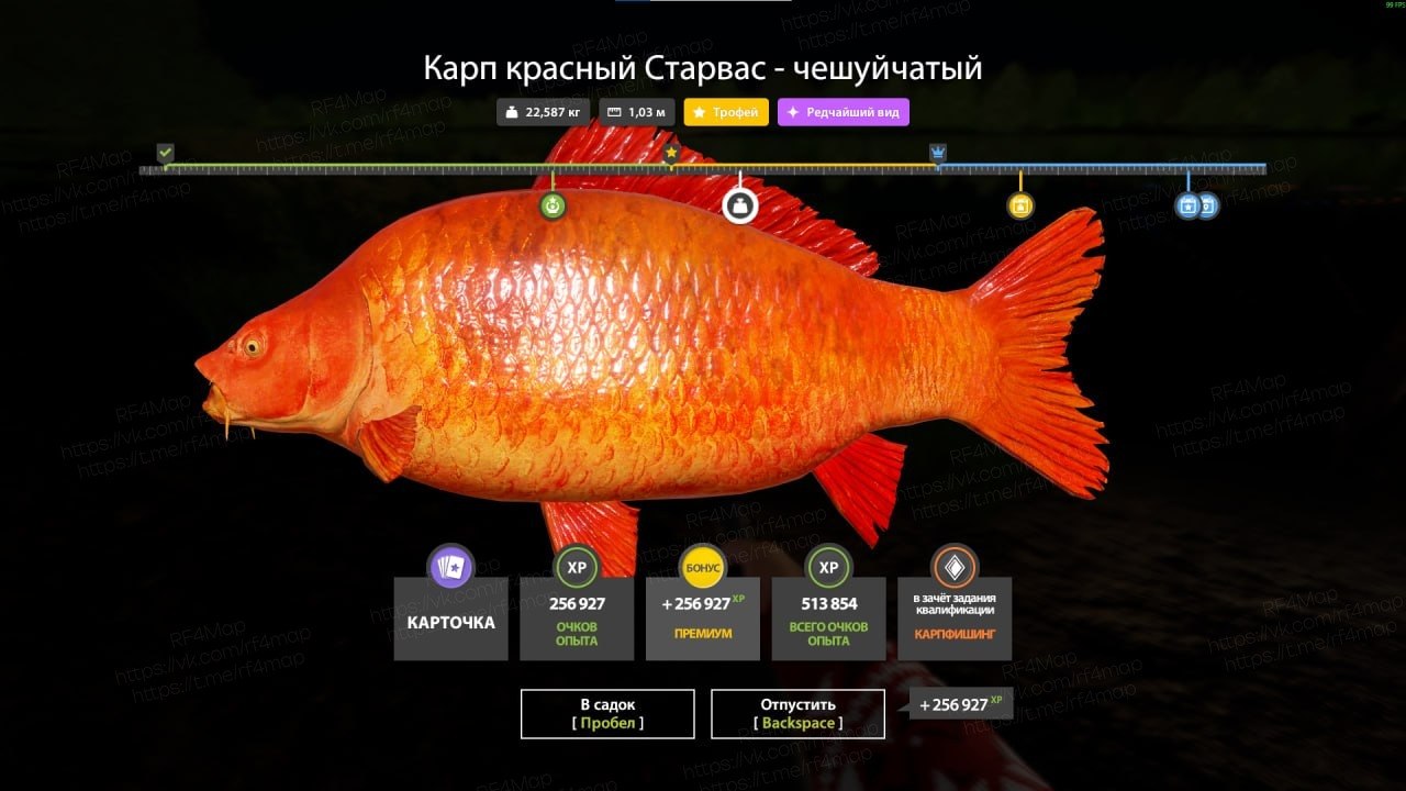 Фото точки