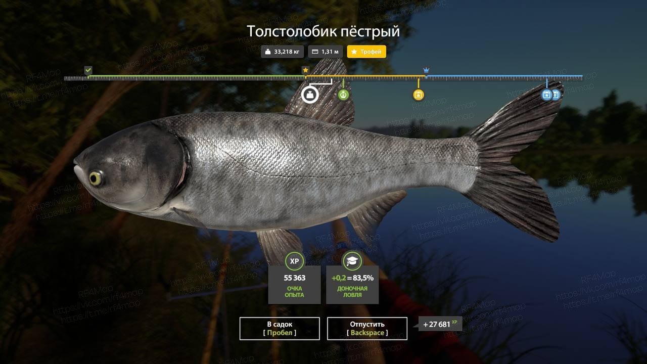 Фото точки