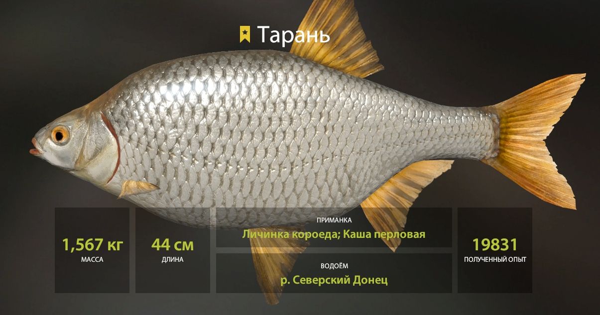 Скриншот точки клева на трофей