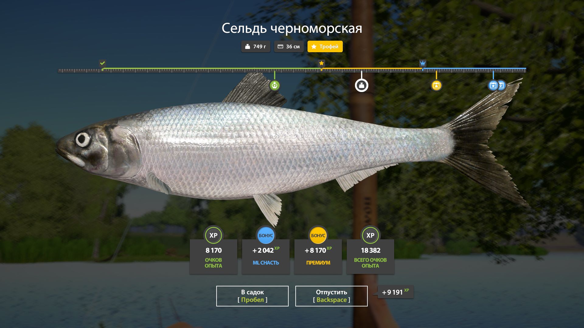 Скриншот точки клева на трофей