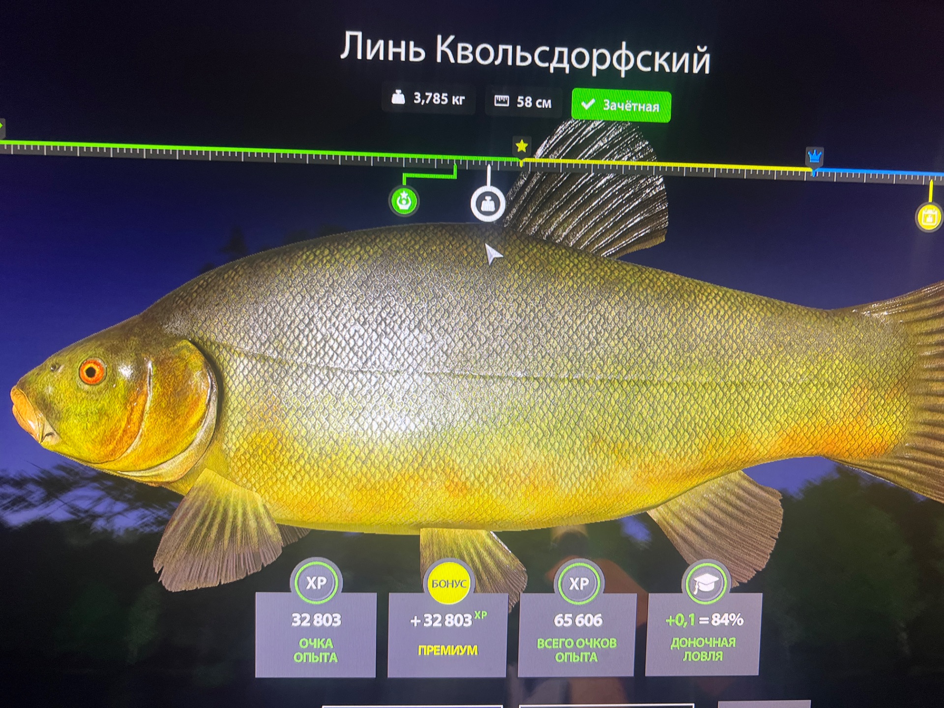 Скриншот точки клева на трофей