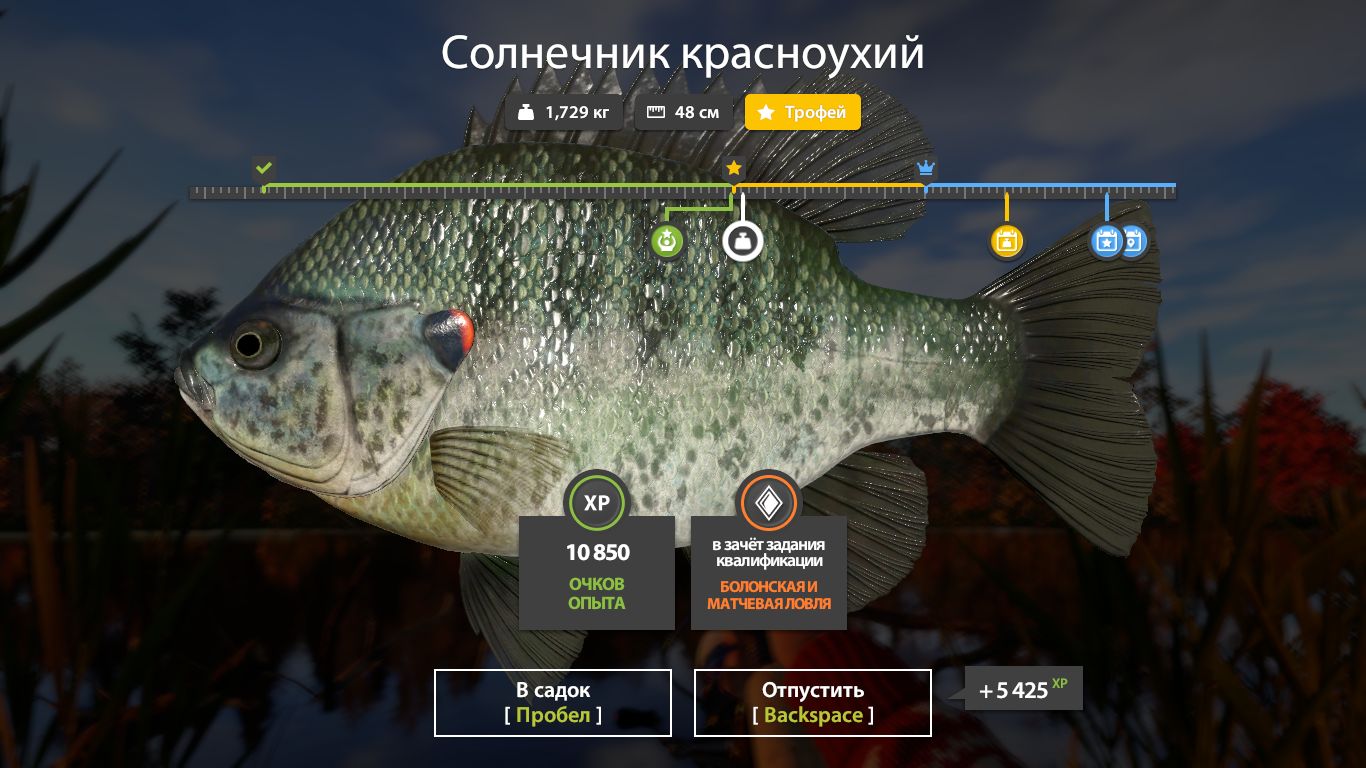 Скриншот точки клева на трофей