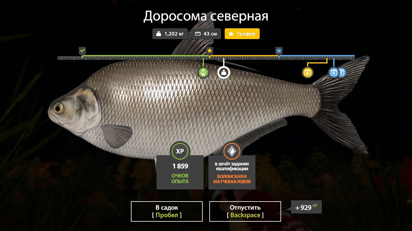 Скриншот точки клева на трофей