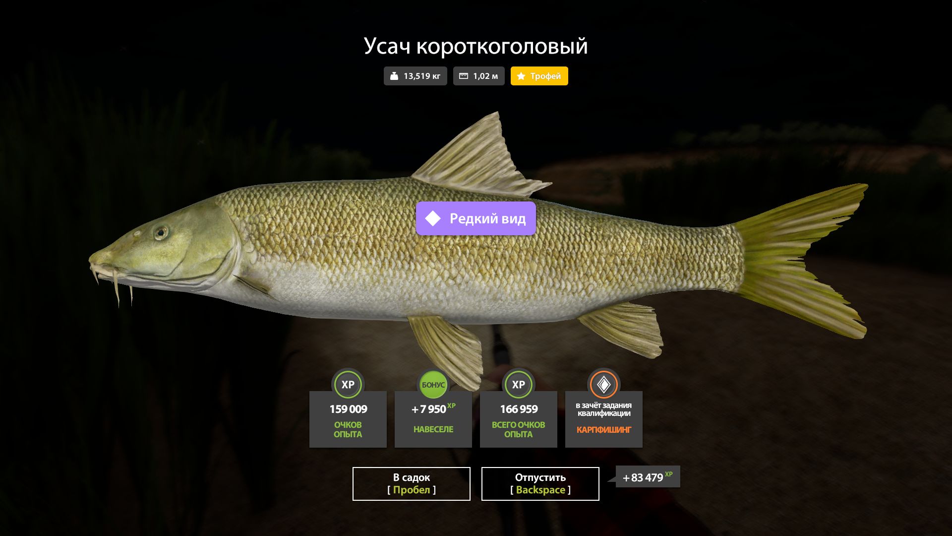 Скриншот точки клева на трофей