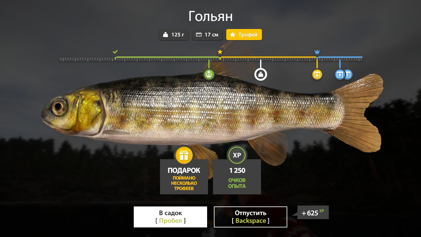 Скриншот точки клева на трофей