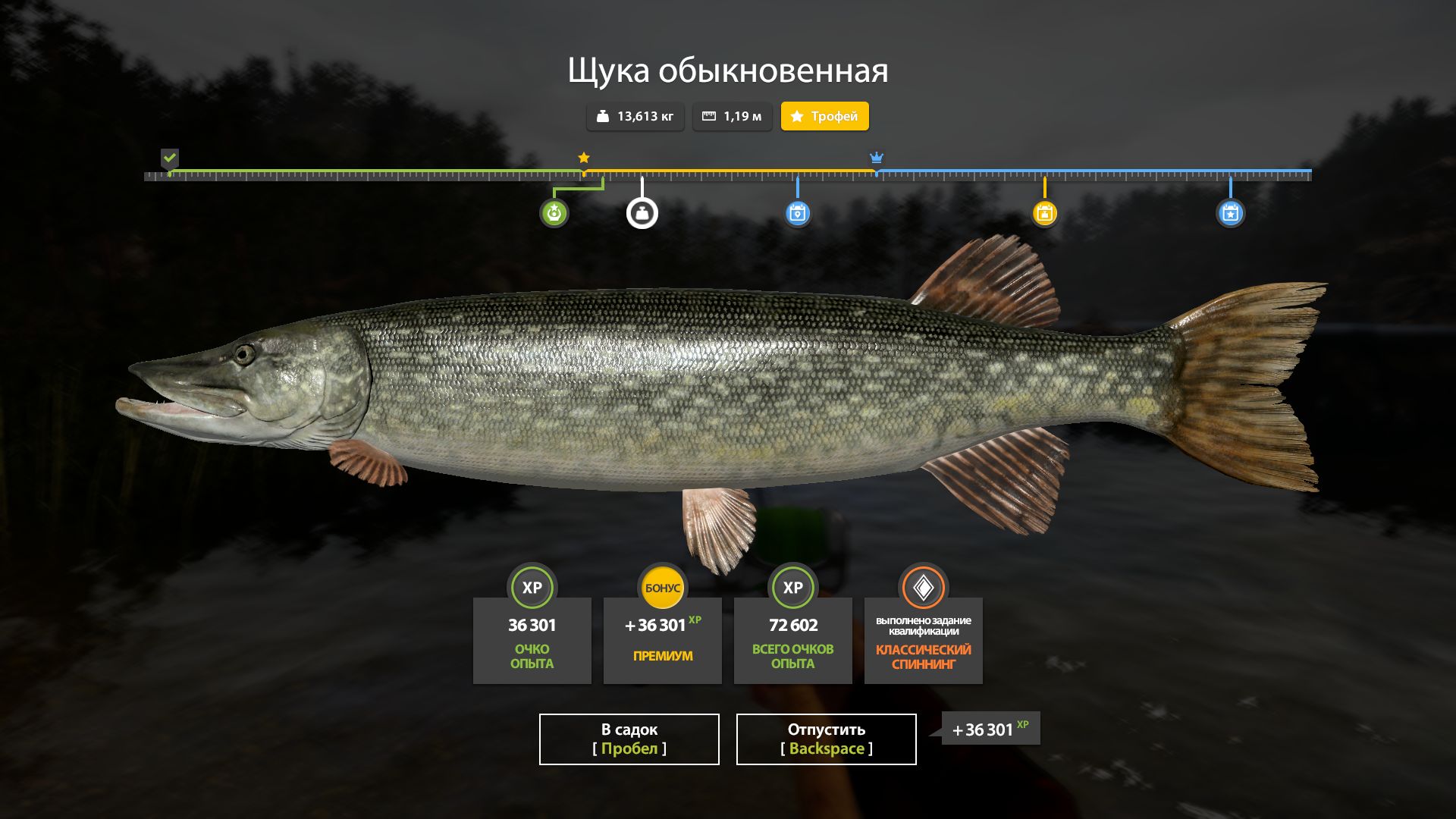 Скриншот точки клева на трофей
