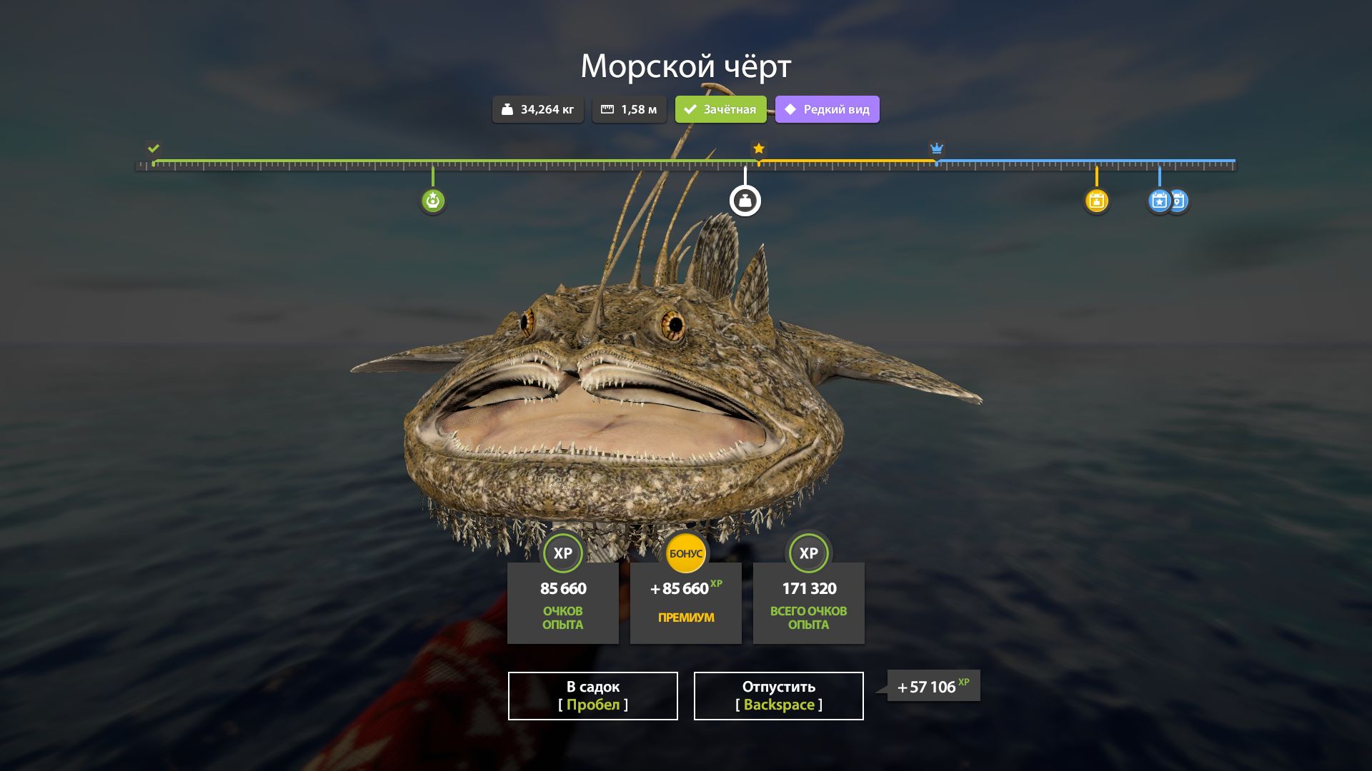 Скриншот точки клева на трофей